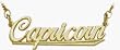 10K Yellow Gold Capricorn Script Zodiac Pendant Dec 23-Jan 20 with 20" chain