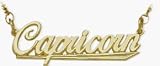 10K Yellow Gold Capricorn Script Zodiac Pendant Dec 23-Jan 20 with 20 chain
