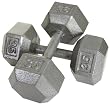 USA Sports Hex Style Dumbbell (Gray Baked Polyester Finish)