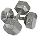 USA Sports Hex Style Dumbbell (Gray Baked Polyester Finish)