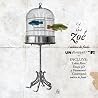 Image of album by Zoé