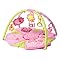 Bright Starts Pretty in Pink Supreme Play Gym