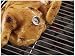 Outdoor Living : Charcoal Companion Reusable Poultry Button