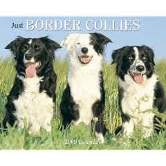 Just Border Collies 2009 Calendar