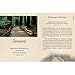 His Footsteps, My Pathway (One-Minute Devotions)