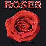 Roses 2009 Wall Calendar 12 X 12