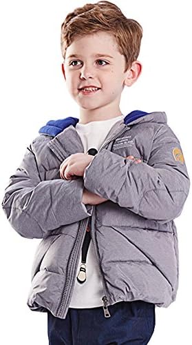 BaBaBaoBao Boys 4-12 Short Hoodie Down Jacket,Size 10 Color Grey
