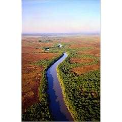 Poster 70 x 110 cm - "Aerial view of the South Alligator River during the dry season - Kakadu National Park, Northern Terr" von Tom Boyden / Lonely Planet Images - auch in anderen Gr��en und als Leinwandbild erh�ltlich