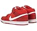 Nike DUNK MID PRO SB Mens Sneakers 314383-616