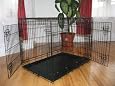 Brand New 48" EliteField Two Door Folding Dog Crate with Divider 48" long x 30" wide x 33" high