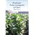 Perelman's Pocket Cyclopedia of Cigars - 2009 Edition