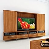 Sonax EN-9186 Contemporary Eternity Walnut Entertainment Unit