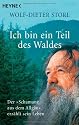 Ich bin ein Teil des Waldes: Der "Schamane aus dem Allgäu" erzählt sein Leben