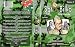 Search : The Phil Silvers Show-Sgt. Bilko-Volume 3-47 Episodes-6 DVD-Chronological Order