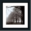 Black And White Morning By Harold Silverman Art Print Poster Picture Framed Decor 18X18