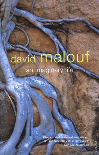Cover image : An Imaginary Life