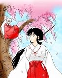 Japanese Anime Cosplay Costume Inuyasha Kikyou & Kikyo , Xl