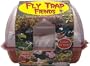 DuneCraft Windowsill Greenhouses - Venus Fly Trap