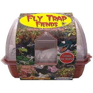 DuneCraft Windowsill Greenhouses – Venus Fly Trap