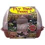 Fly Trap Fiends