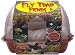 Search : Fly Trap Fiends