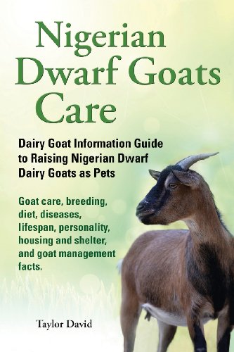 Nigerian Dwarf Goats Care: Dairy Goat Information Guide to Raising Nigerian Dwarf Dairy Goats as Pets, by Taylor David