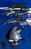 Towel World Dolphin Island Beach Towel
