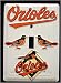 Baltimore Orioles Light Switch Covers (single) Plates LS10016