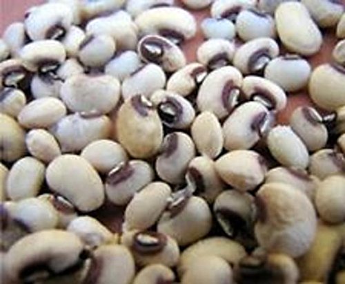 Pinkeyed Purple Hull Peas 25 lbs by Detwiler Native Seed Company. Grown in USA. Guaranteed to ship with the first available carrier