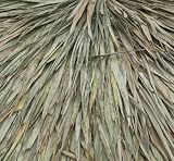 ASIAN THATCH PANEL 2' X 4' - TROPICAL DECOR