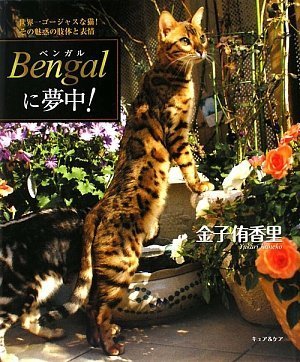 Bengalに夢中!―世界一ゴージャスな猫!その魅惑の肢体と表情
