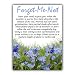 Forget Me Not FMN101 Seed Favors (10 Packets)