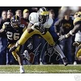 Jason Avant Autographed Michigan Wolverines (White Jersey Horiz) 8x10 Photo