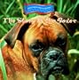 The Story of the Boxer (Dogs Throughout History)