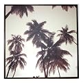 Palm Silhouettes on Canvas by Kahn - 20x20"