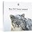 Mac OS X version 10.6 Snow Leopard $24.99