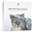 Mac OS X version 10.6 Snow Leopard