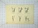 Horse 1816 Tumour Elbow Knee Leg Medical Old Print