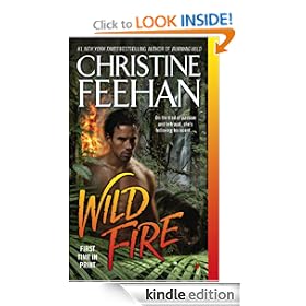 Wild Fire (Leopard People)