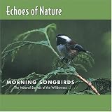 Music : Echoes of Nature: Morning Songbirds