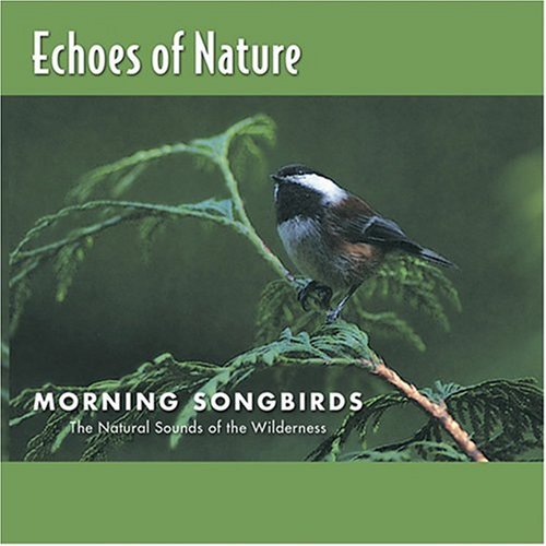 Echoes of Nature: Morning Songbirds