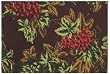 Durable Hand Woven 100% Cotton Silk Screen Rust Grapes Print Placemat 12X18 Inches Set / 6
