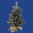 2' Pre-Lit Flocked Jackson Pine Christmas Tree in Burlap Sack - Multi LED Lights