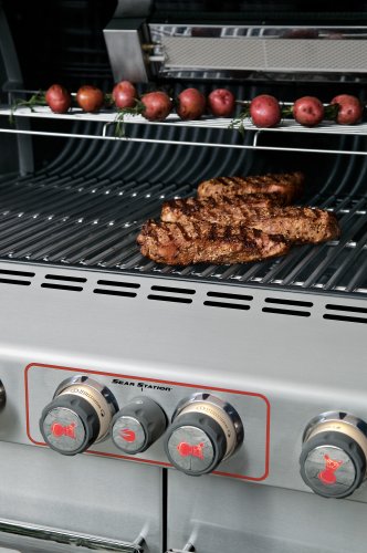 Weber 2780001 Summit S-670 Grill, Propane, Stainless Steel