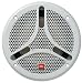 JBL MS6100 Marine 6.5-Inch Dual-Cone Marine Speaker
