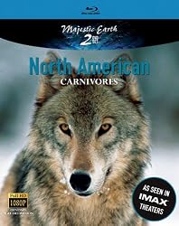 North American Carnivores [Blu-ray]