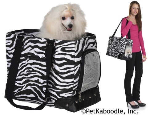 Zack & Zoey Wild Side Safari Black & White Zebra 