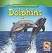 Dolphins (Animals That Live in the Ocean)