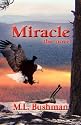 Miracle, the novel