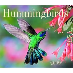 Hummingbirds 2009 (Calendar)
